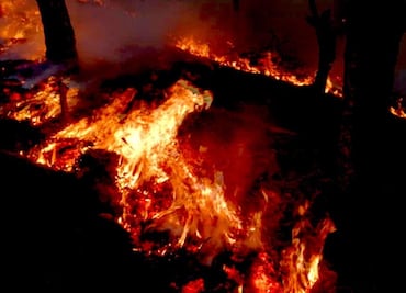Por incendios forestales, declaran emergencia en 13 municipios de Oaxaca