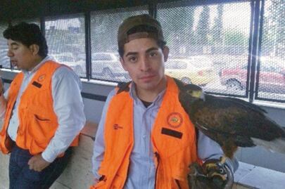 Desde ataúdes hasta un águila viajan en Metro