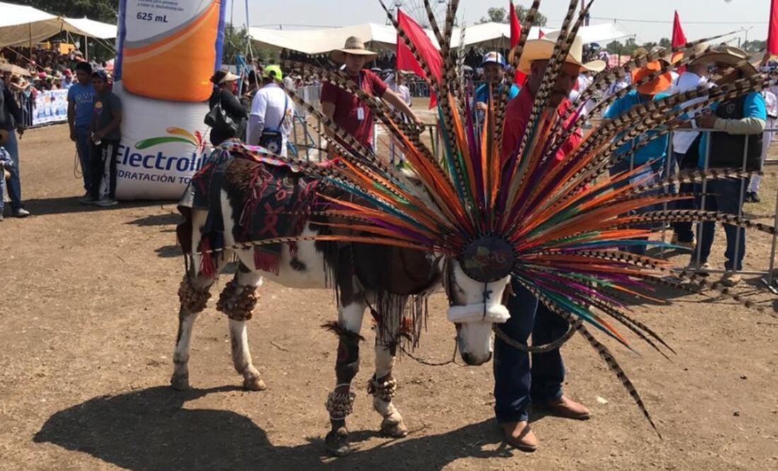 Foto: Emilio Fernández / EL UNIVERSAL
