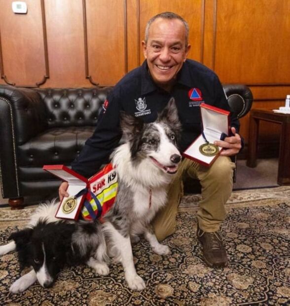 Orly y Balam inspiran creación de escuela para perros rescatistas en Querétaro
