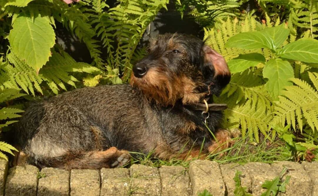 El día estará muy caluroso. Foto Pixabay