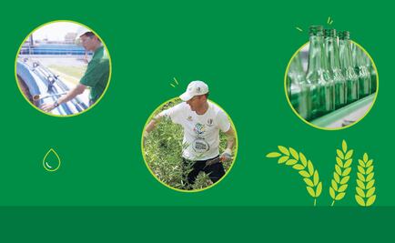 ¿Cómo reduce HEINEKEN el uso del agua para la producción de cerveza?