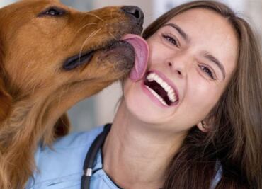 Conoce las medicinas que se pueden compartir con tus mascotas