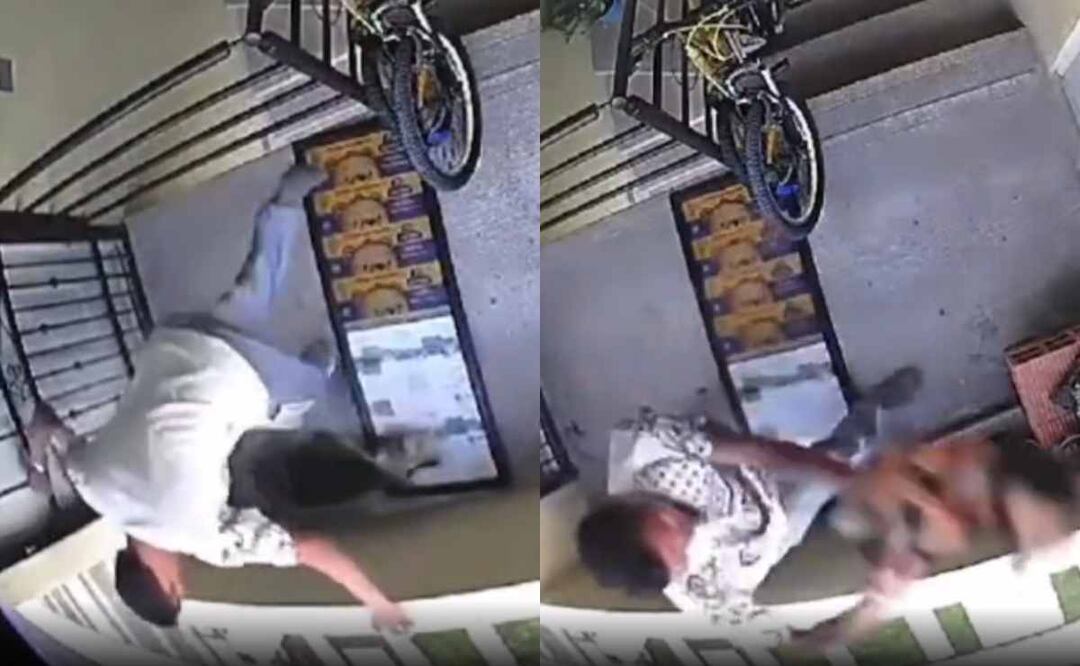 En hombre patea en repetidas ocasiones al animal, lo azota y arroja fuera del edificio. Foto: Captura de video