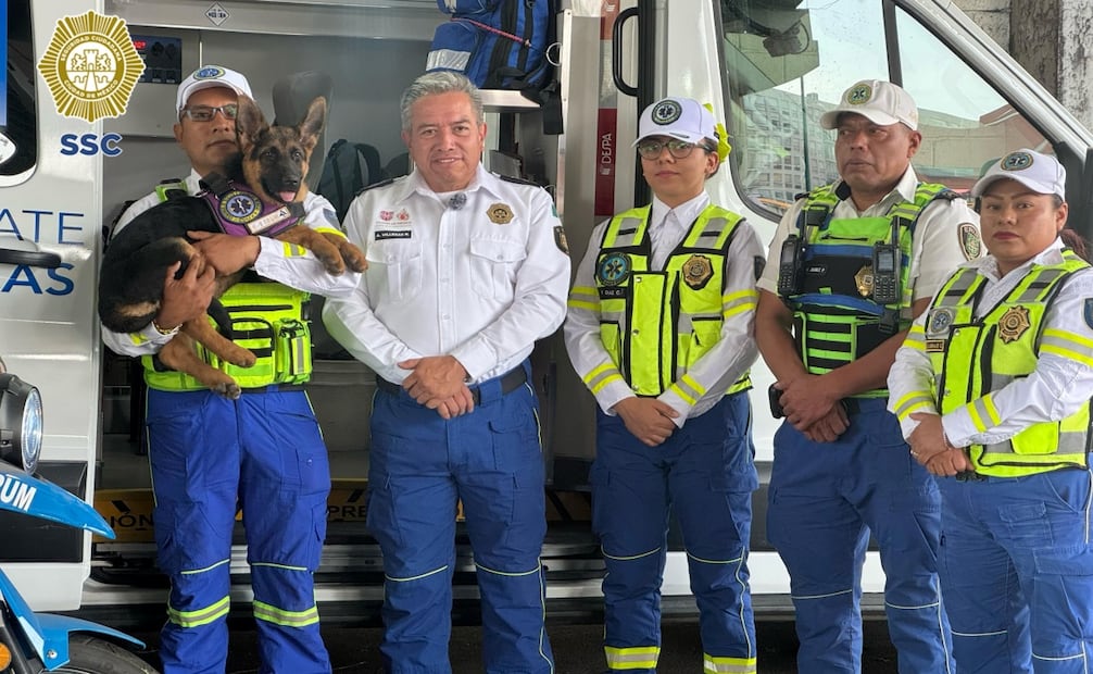 "Indara" se suma al ERUM de CDMX; entrenarán a cachorra para rescate en estructuras colapsadas. Foto: Especial