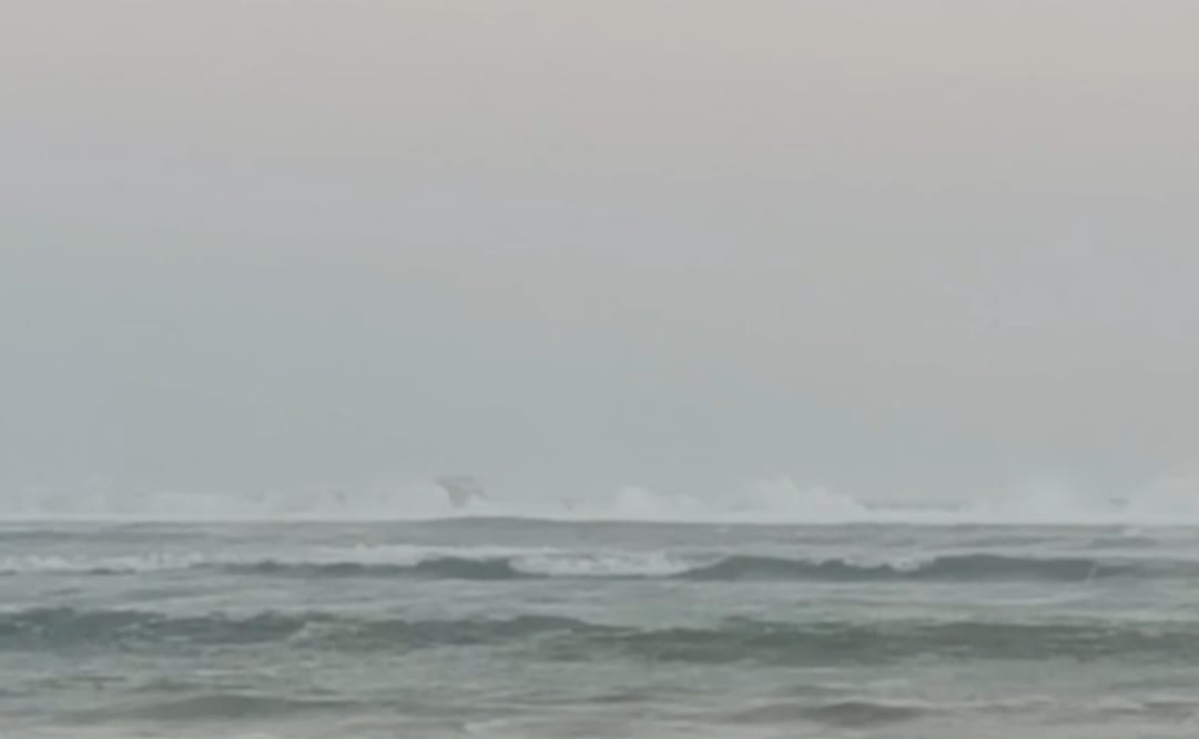 Rescatan con vida a cuatro pescadores de Salinas del Marqués (10/03/2026). Foto: Especial