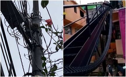 Cacomixtle electrocutado provoca falla en elevador inclinado de Á. Obregón