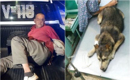 Trasladan a penal a violador de perrita