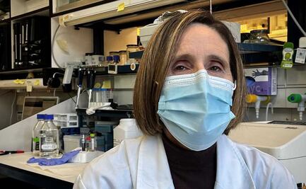 Covid-19: investigadora del coronavirus da diez respuestas para entender la variante ómicron 