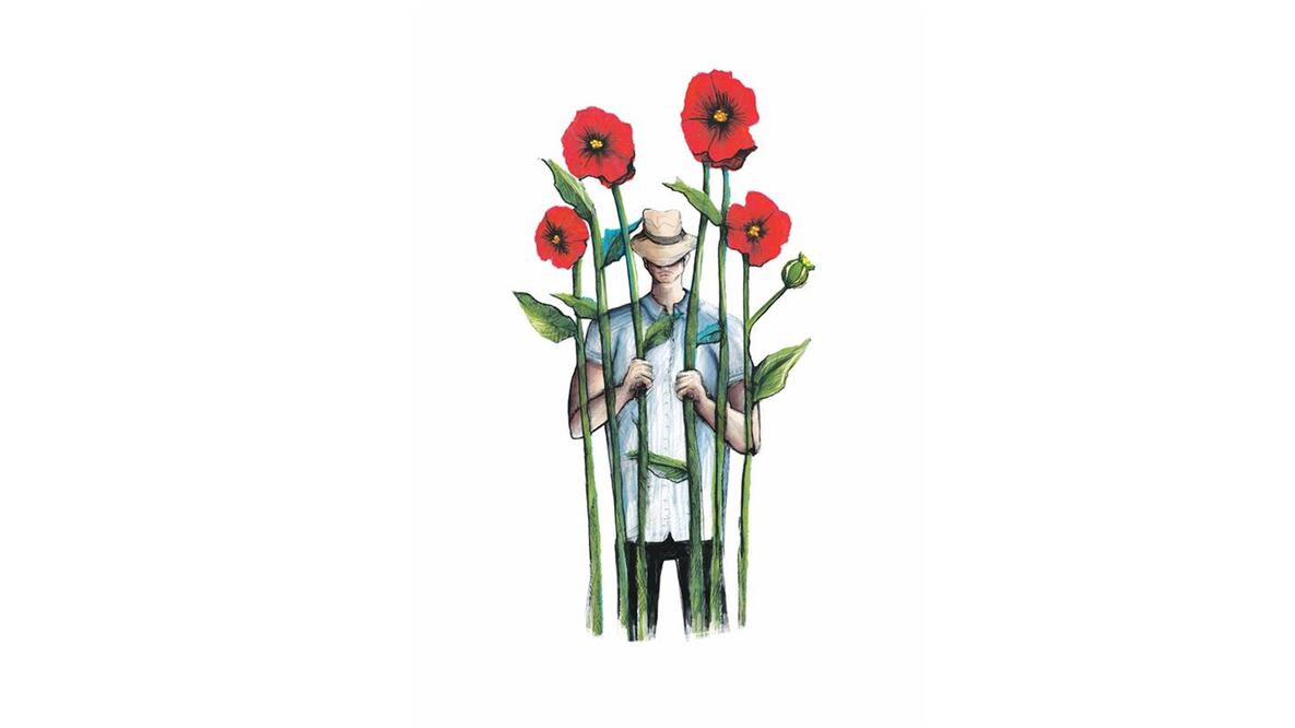 Ilustración: ROSARIO LUCAS