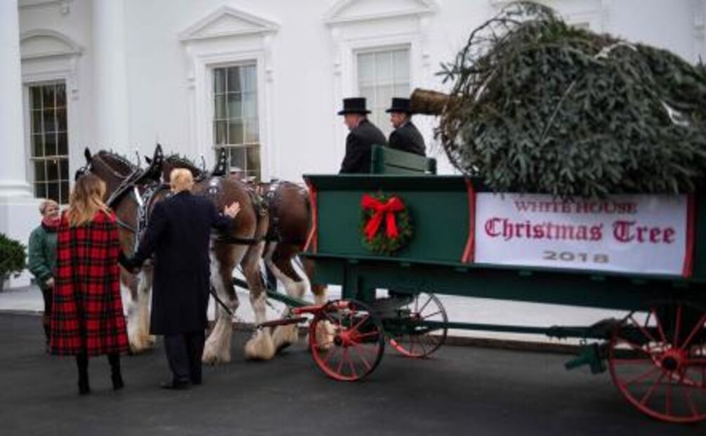 Por primera vez, Donald Trump recibe árbol de Navidad de la Casa Blanca