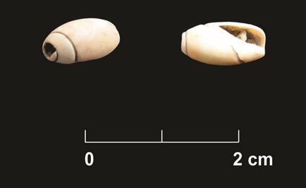 INAH estudia cueva de 10 mil años de antigüedad
