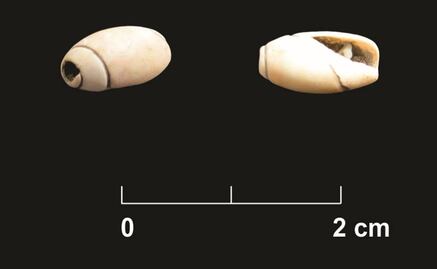 INAH estudia cueva de 10 mil años de antigüedad
