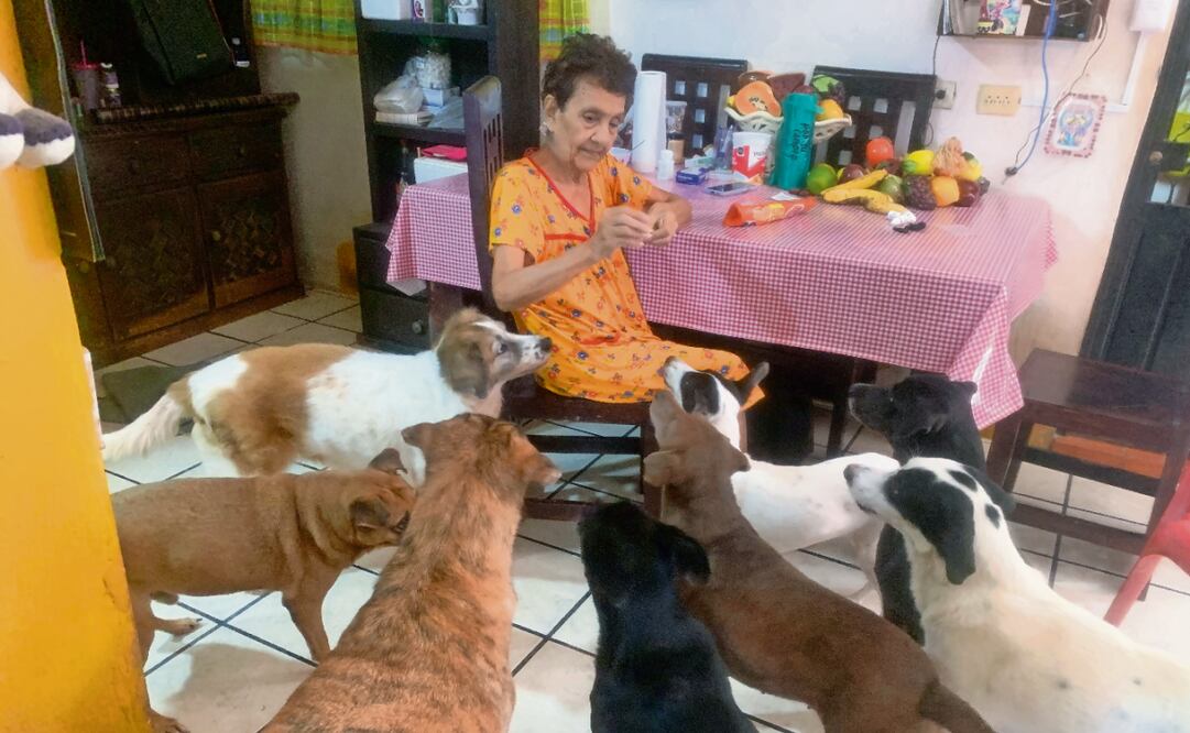Carlota García García denunció que hace falta más empatía y amor hacia los perritos de la calle; admitió que ya no tiene la fuerza para seguir rescatando más y eso le duele. Foto: María de Jesús Peters / EL UNIVERSAL
