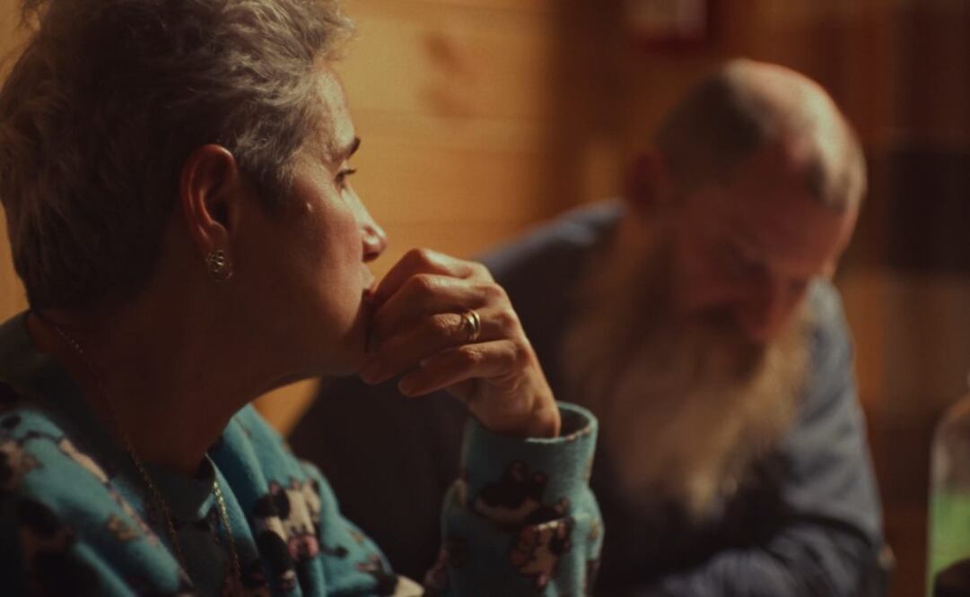 “Say Goodbye” debutó ya en el festival Vision Du Réel, caracterizado por elegir propuestas únicas y vanguardistas.