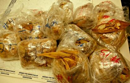 Decomisan 450 tamales en aeropuerto de Los Ángeles