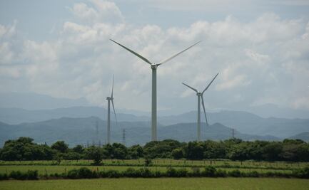 Parques eólicos anunciados por AMLO en el Istmo de Oaxaca “no serán negocio”, afirma experto