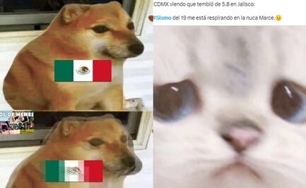 ¡No se acaban! Usuarios reaccionan con memes por los sismos de este 8 de septiembre en México