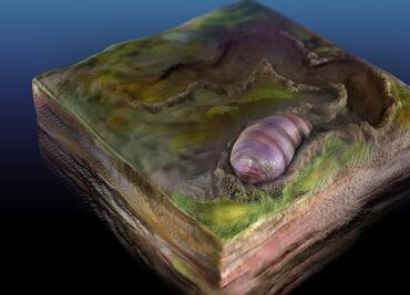 Un "gusano" sería el predecesor de la mayoría de los animales