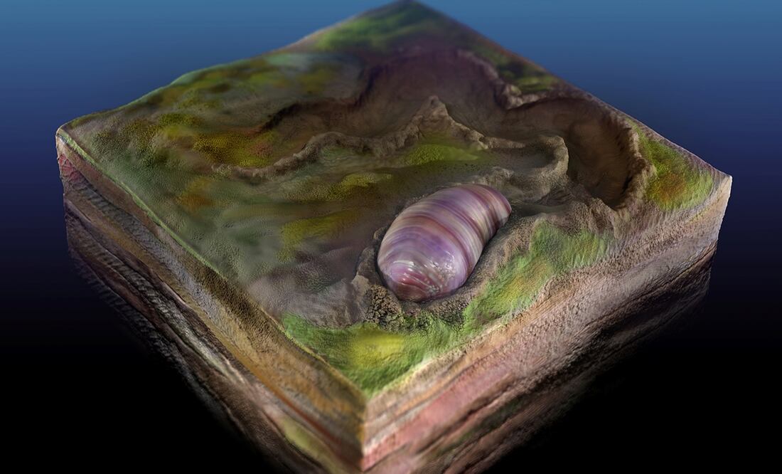 Foto: Sohail Wasif/University of California Riverside/Handout via Reuters