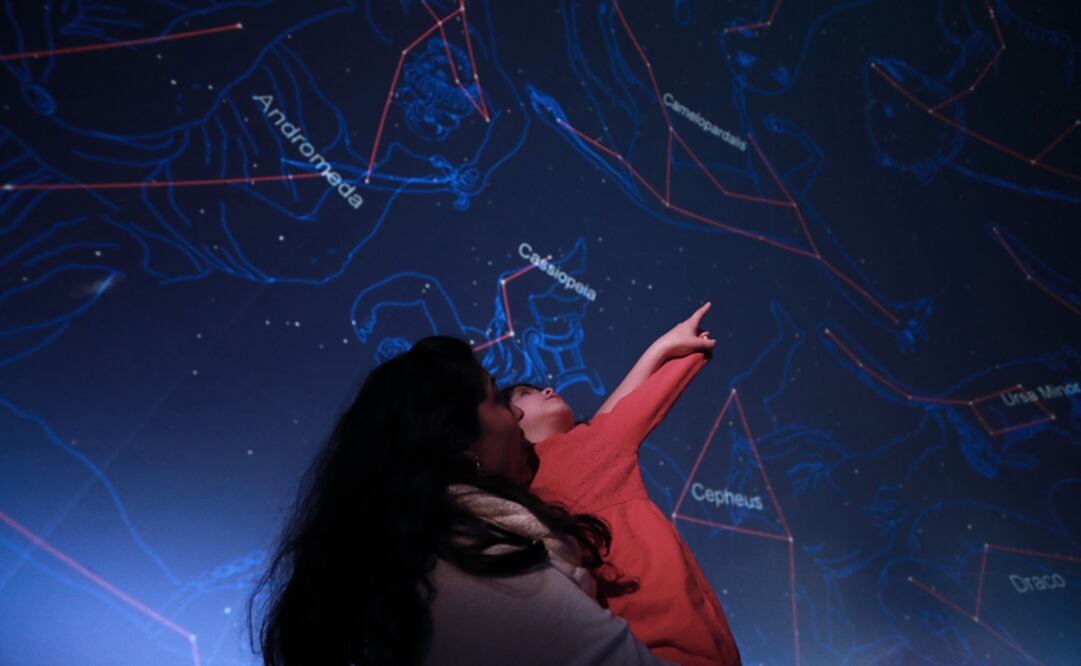 (FOTOS: Alejandra Leyva/ EL UNIVERSAL)