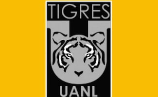 Los Tigres van por un jugador argentino