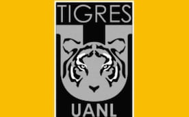 Los Tigres van por un jugador argentino