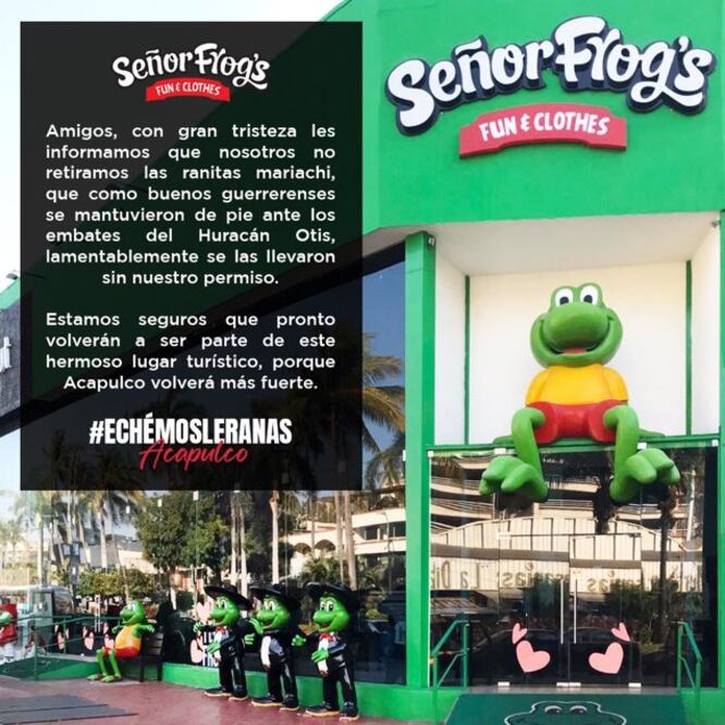 Roban icónicas ranas del Sr Frogs de Acapulco
