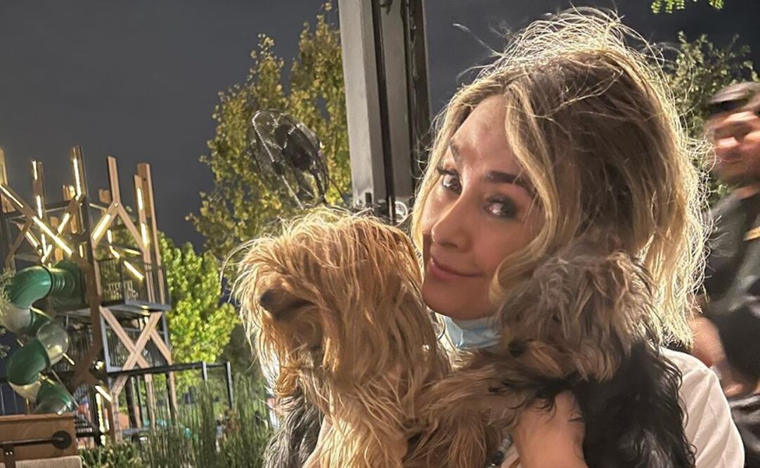Aracely Arámbula, amante de los perros, tiene un refugio canino.