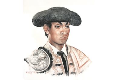 Noveles: virtudes y limitaciones