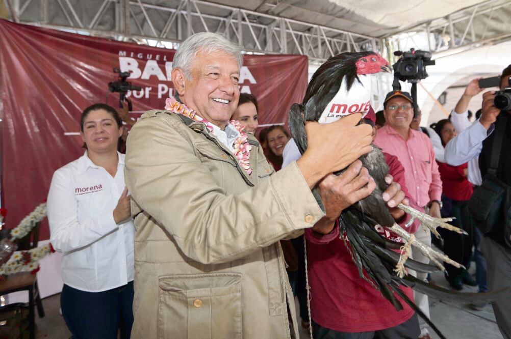 Durante un mitin en el municipio Huachinango, en Puebla, el candidato presidencial de Juntos Haremos Historia, Andrés Manuel López Obrador, cargó un gallo negro para darle suerte, pues éste no ha perdido ni una pelea. (FOTOS: VALENTE ROSAS. EL UNIVERSAL)