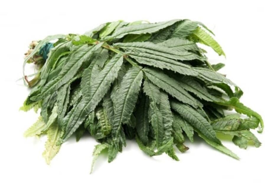 Conoce los ingredientes peruanos más icónicos