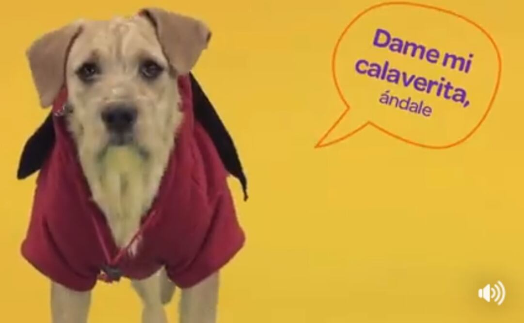 (Foto: Tomada de video)