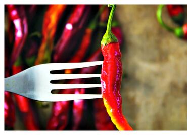 De polo a polo: el chile en América