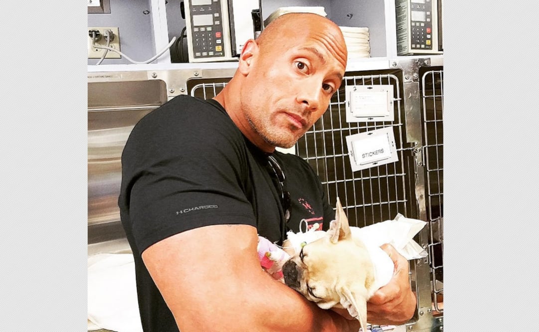 La mascota del actor se intoxicó por comer hongos venenosos mientras jugaba (INSTAGRAM / THE ROCK)