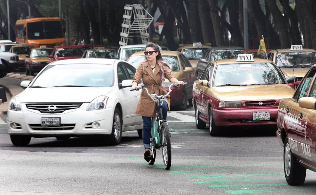 Archivo / EL UNIVERSAL