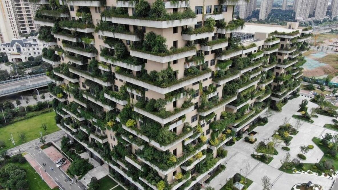 Por qué la arquitectura verde será fuente de millones de empleos (y cuáles son las profesiones con mayor demanda)