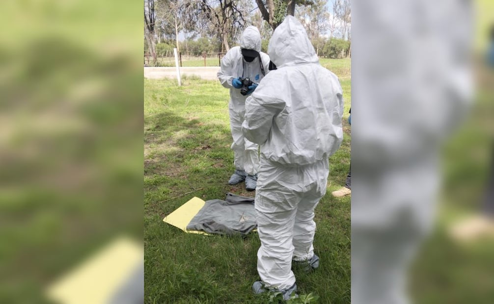 Hallan cuatro osamentas en rancho de Jerez en Zacatecas; analizan restos para identificarlos.
Foto: Especial.