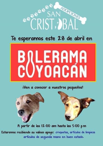 Celebren el Día del niño jugando boliche y ¡adoptando perritos!