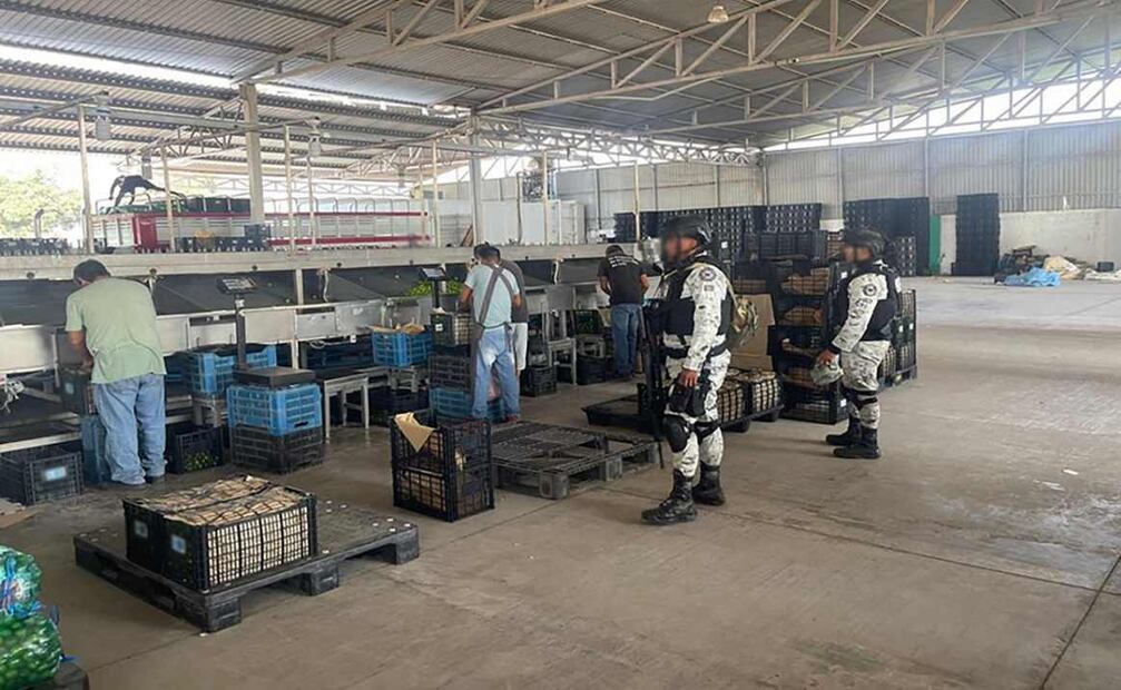 Caen 16 personas durante recorridos del Plan Michoacán. Foto: Especial