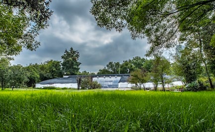 ¿Sigue en pie el proyecto del Pabellón Contemporáneo Mexicano, en Chapultepec?