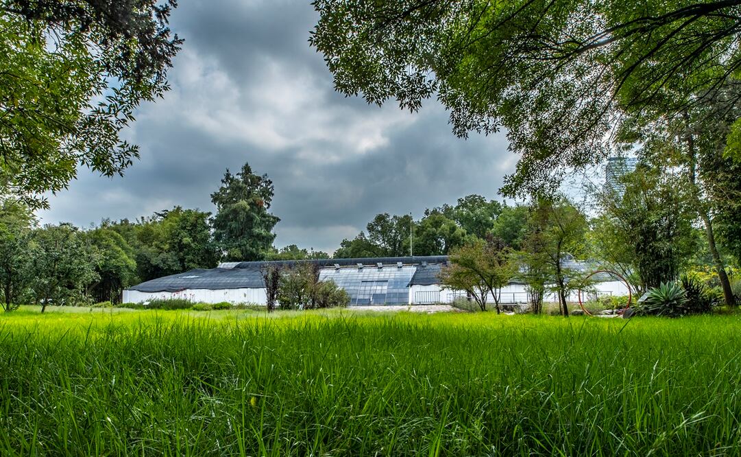 Pabellón Contemporáneo Mexicano. Foto: Sergio Tapia. ARCHIVO EL UNIVERSAL