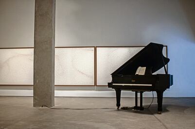 Pablo Dávila crea un pequeño ecosistema de ciencia y arte en la galería OMR