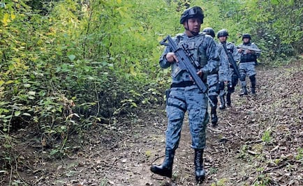 Guardia Nacional protege bosques del Edomex contra tala ilegal