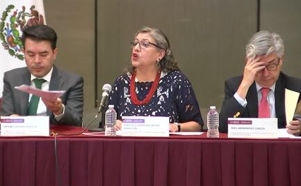 Comisionada nacional de Búsqueda pide “con todo el respeto del mundo” tener más personal en comisiones estatales