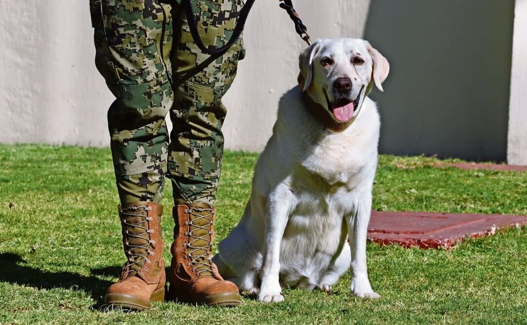 Fotos: Berenice Fregoso. EL UNIVERSAL