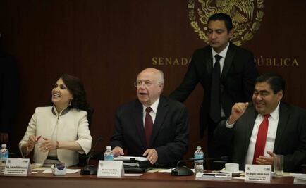 Narro explica a senadores iniciativa sobre marihuana