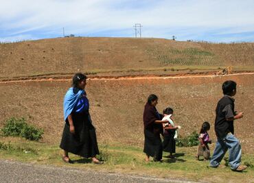 Propone PRI reforma de apoyo a padres o madres solteros de comunidades indígenas o afromexicanas