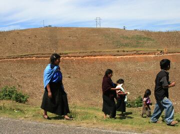 Propone PRI reforma de apoyo a padres o madres solteros de comunidades indígenas o afromexicanas