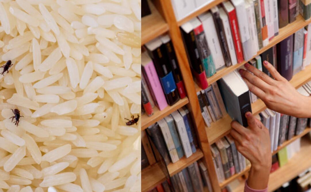 La biblioteca más antigua de Hungría trata de salvar 100.000 libros de una plaga de gorgojos. (14/07/25) Foto: iStock